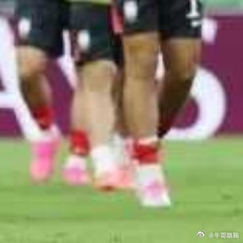 韩国队：输球，拿钱，走人。小组赛出局，每人8000万韩元到手。赢捷克一场，300