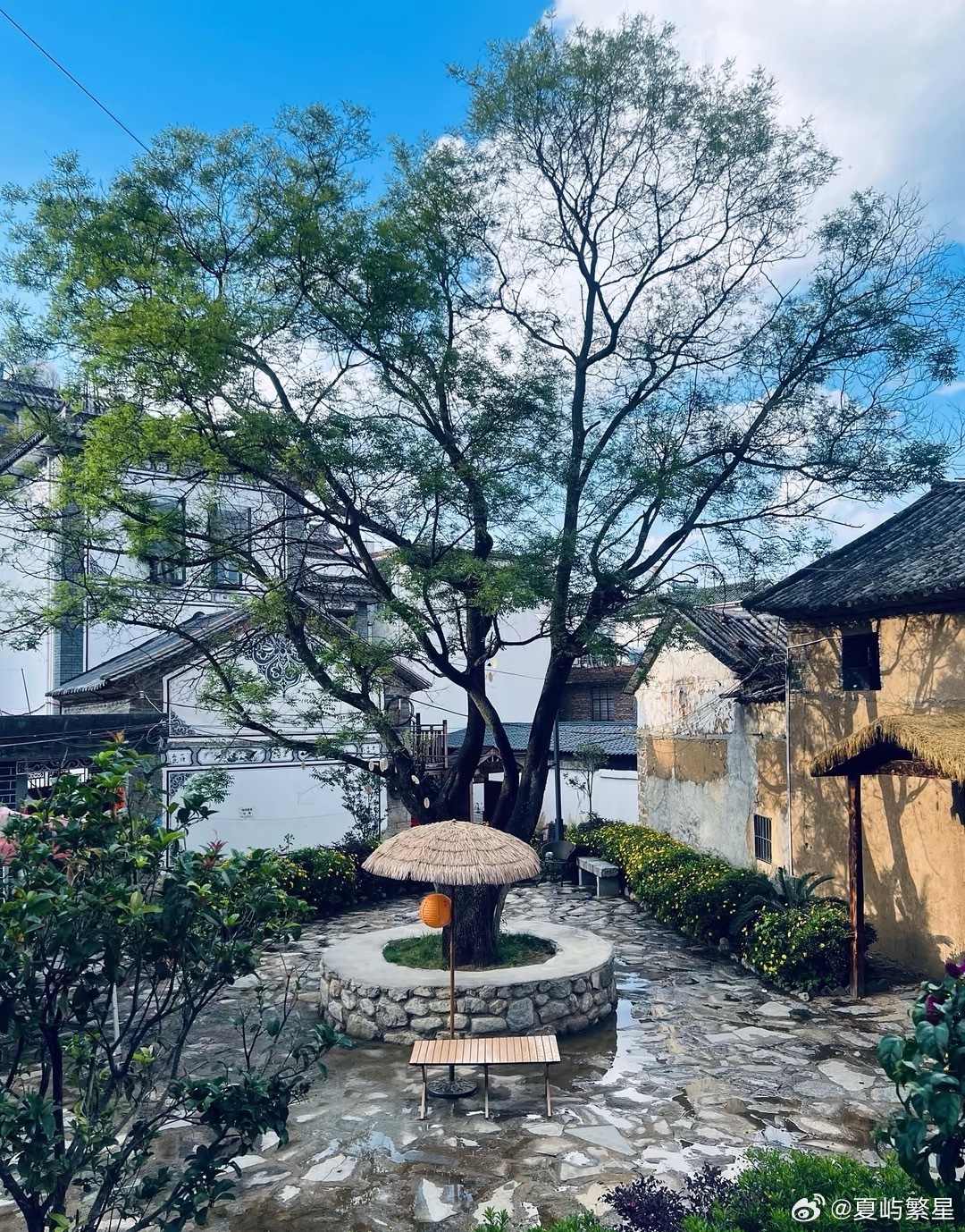 用阅读重塑你的认知我的私人宝藏书单书评 一面看水，一面想你那年夏天，我一个人去了