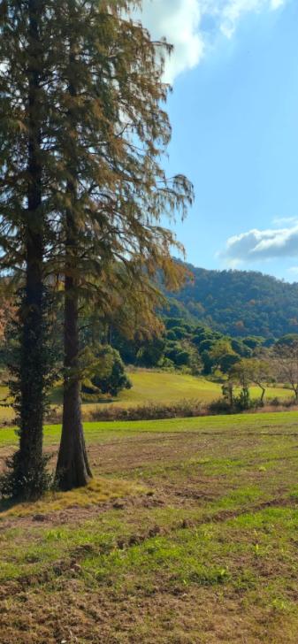 500亿美元原油蒸发！危机影响多大？
亲爱的朋友们大家好，我是海林小百科！今天聊