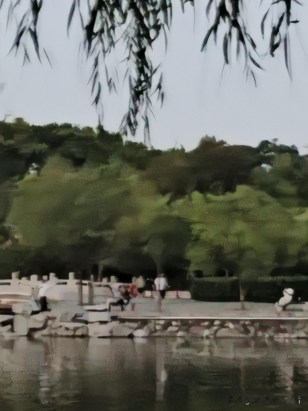 夏日生活打卡季 湖边风景不错，有人在散步。
