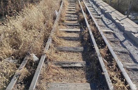 国家为何一定要保留废弃铁路？那种锈迹斑斑、长满杂草的旧铁轨，看着像没人管的废铁，