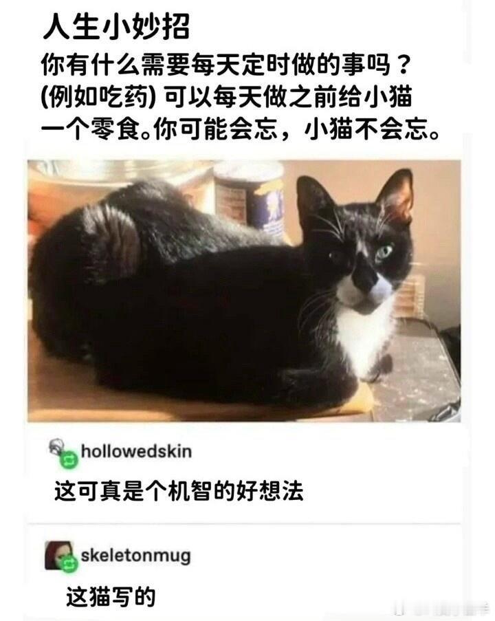 猫写的梗图[超话]趣图meme ​​​