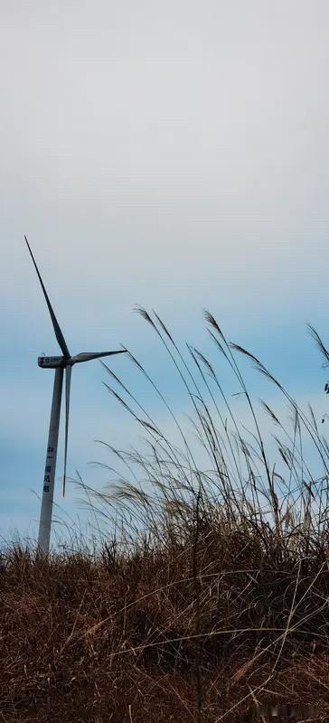 生活或许偶尔沉闷，但跑起来就有风，相信自己值得所有的美好。