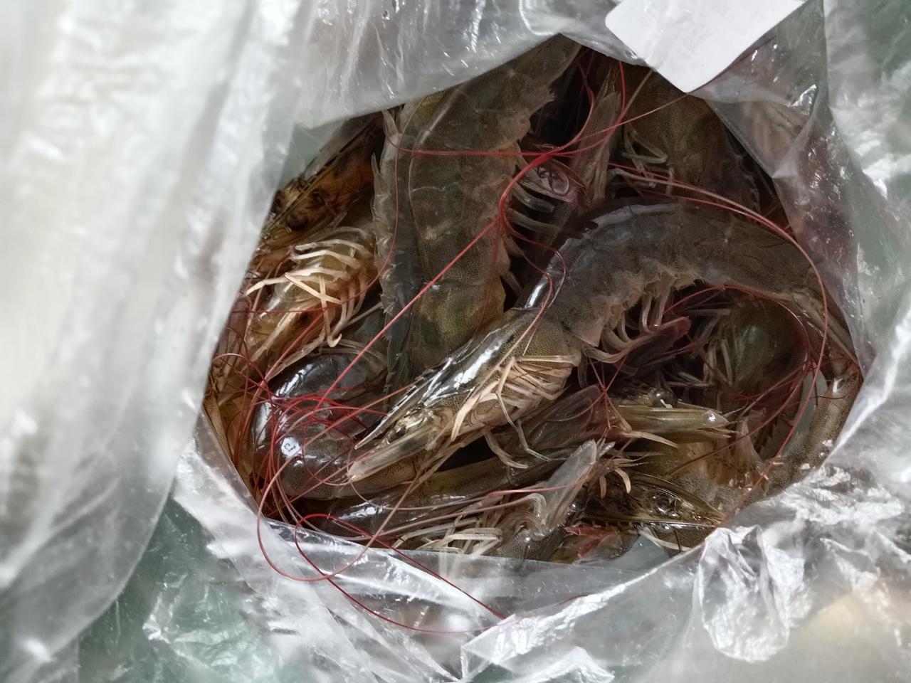 这几天太累了，前天请小姑子来聚餐，昨天又接待了小叔子一家，累的我一点劲也没有了。