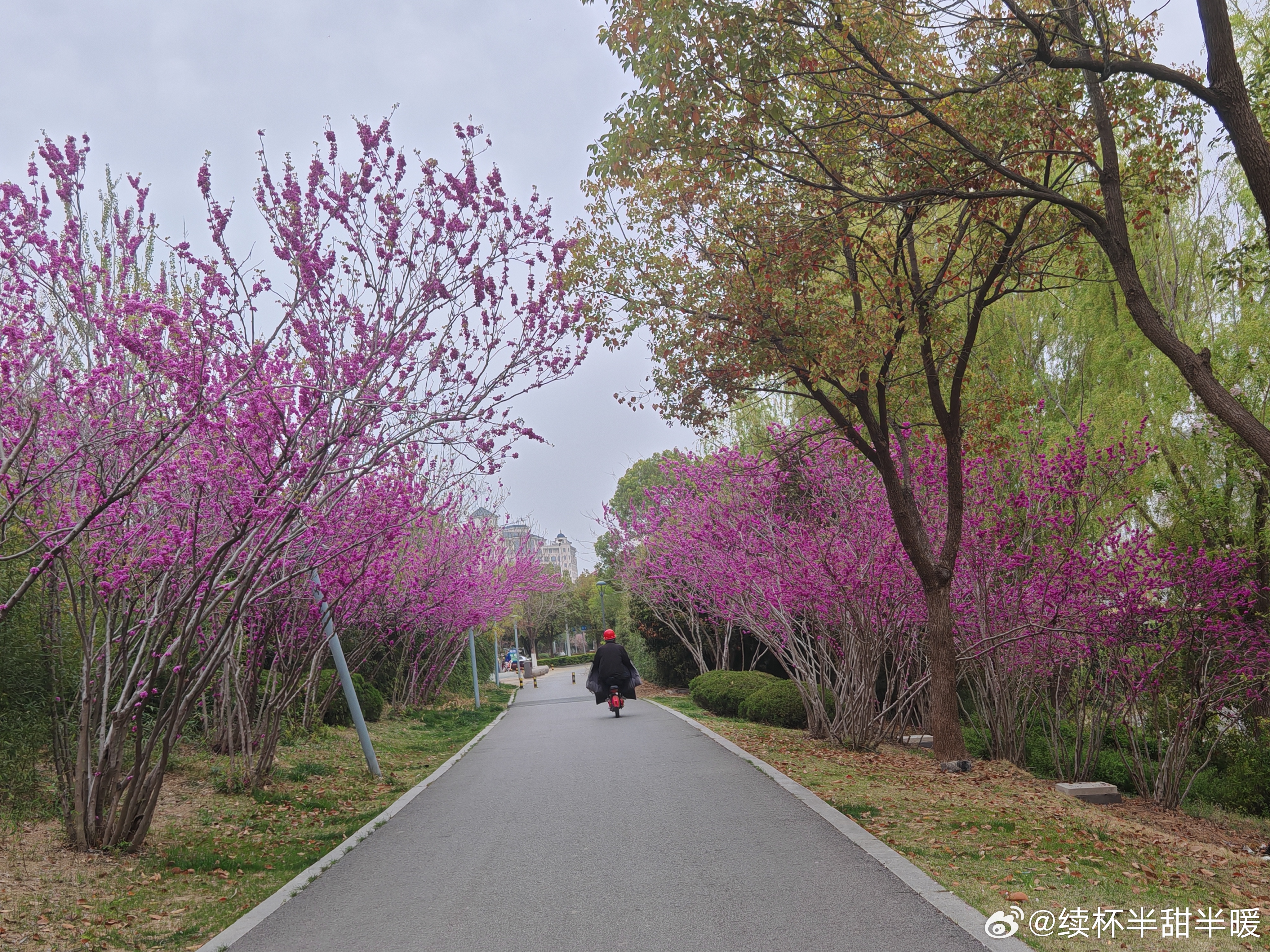 遇到美景总是走不动路。 