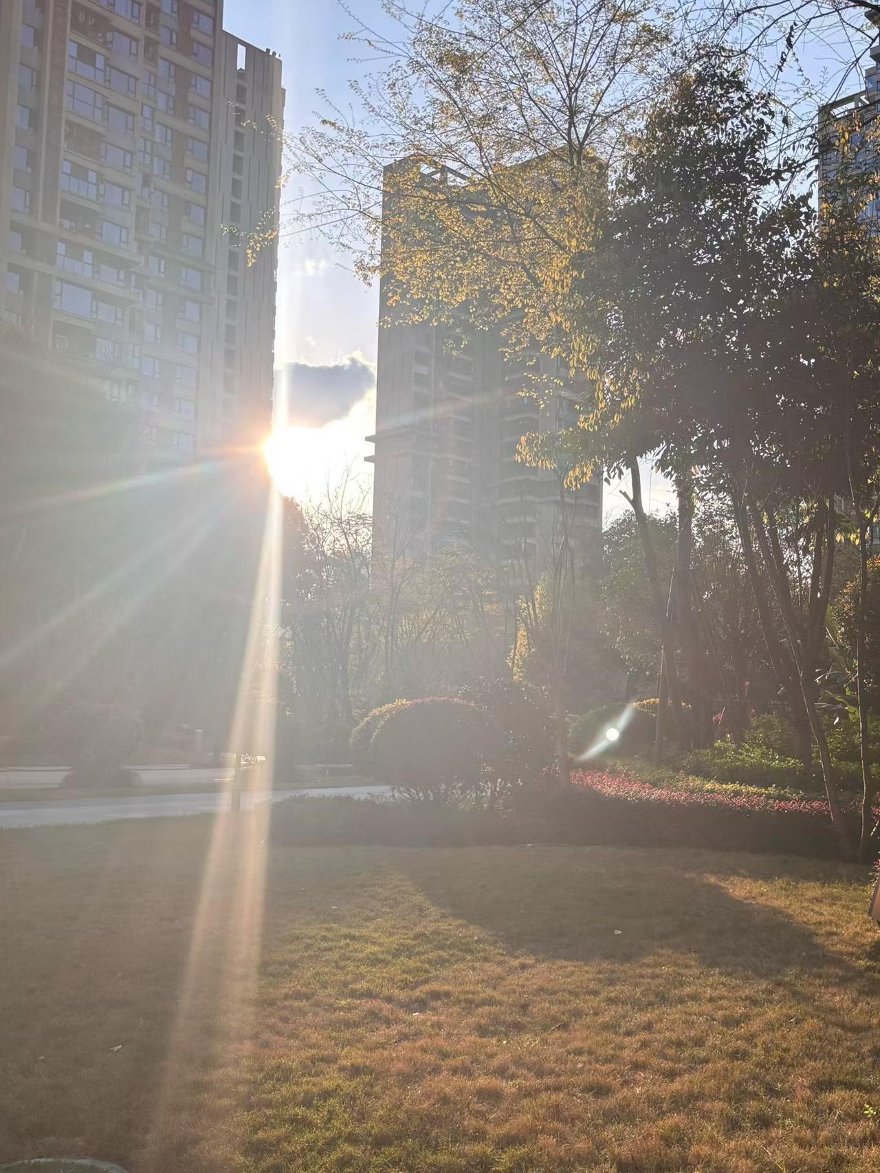 天南地北大拜年夕阳无限好，只是近黄昏。