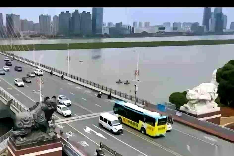 南昌八一大桥上那两只黑猫雕塑，有人提议，要给它们挪个窝。
理由挺“实在”：搬去广