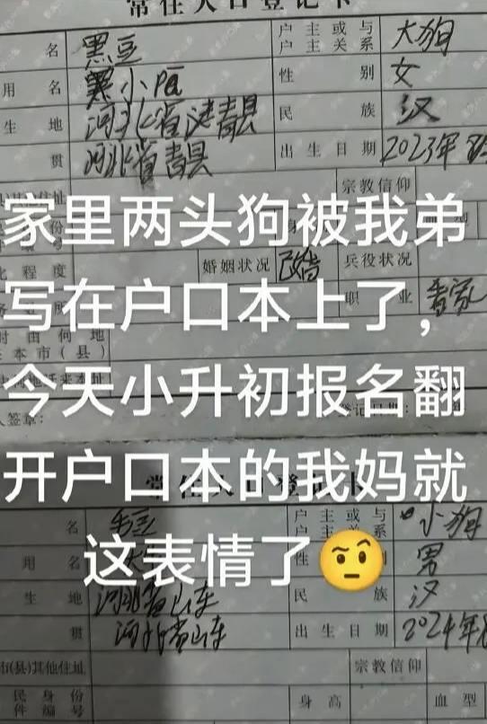 这顿打肯定跑不了