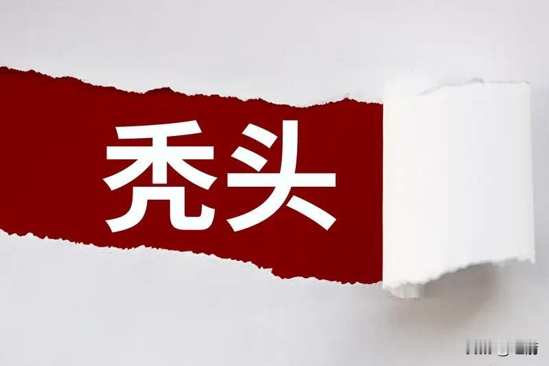做头条没粉丝、没收益，这情况太常见了。我也经历过每天辛苦发内容，点赞评论少得可怜