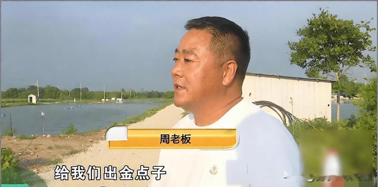 浙江湖州长兴的周老板承包了200多亩鱼塘，近年随着生态环境变好，成群白鹭把鱼塘当