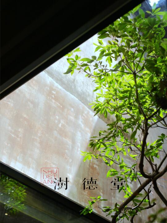 澍德堂｜细微末梢之美🍃