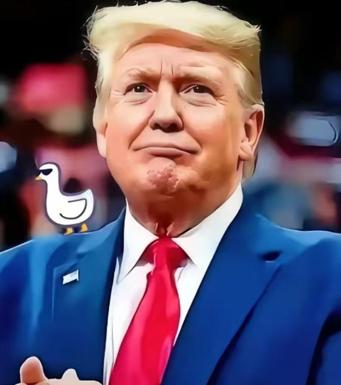 反制不过夜，这就是中国速度，对美韩加征113%关税。

美国做初一，咱们做十五，