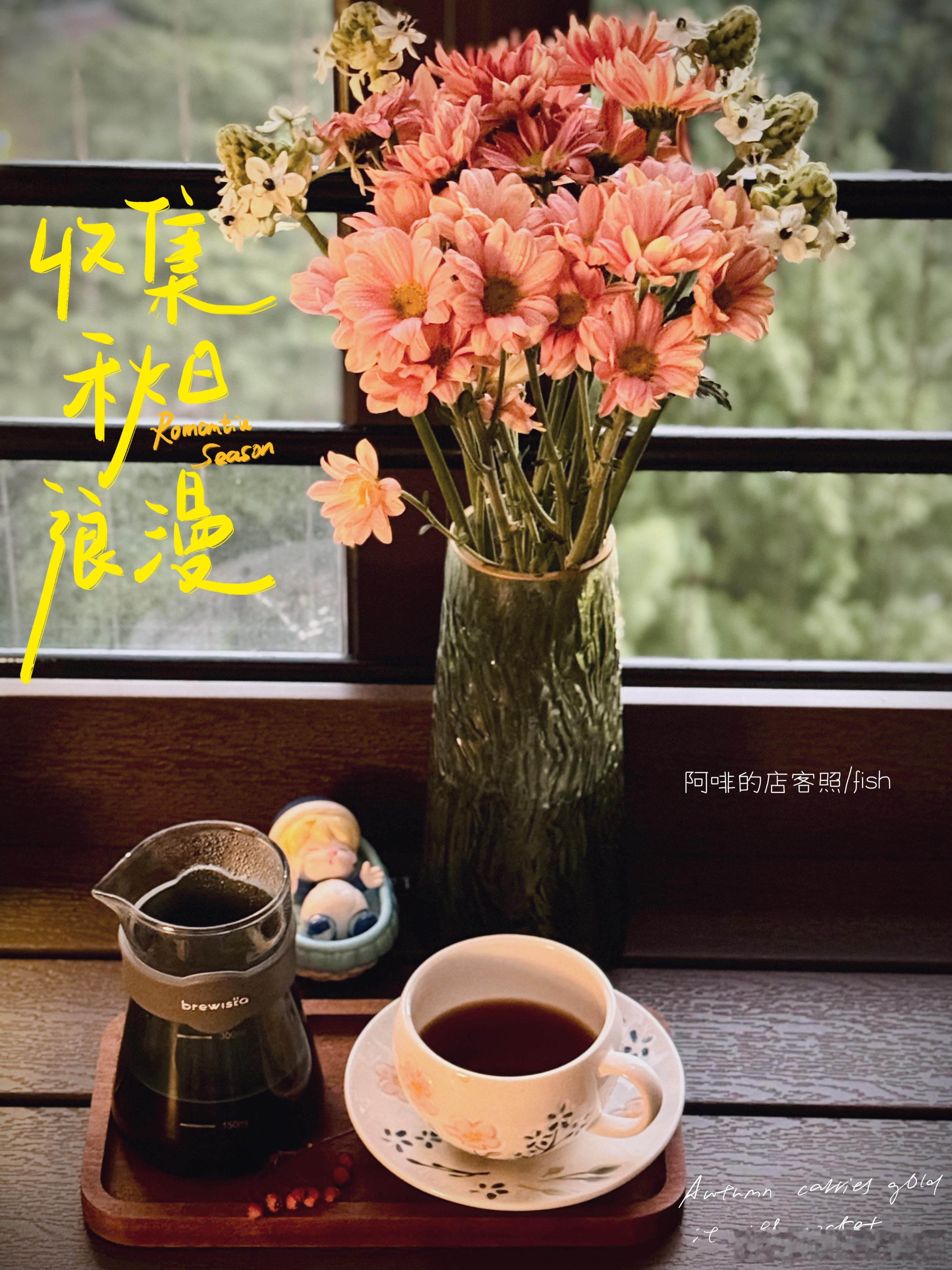 你认真生活的样子就是灯塔，好运气会自己找上门来的。#星情物语##喝咖啡##咖啡豆