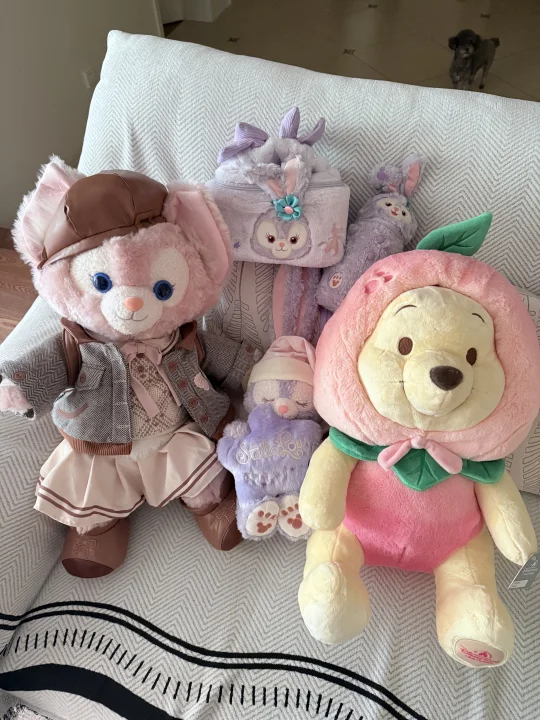 迪士尼福袋真的太划算啦