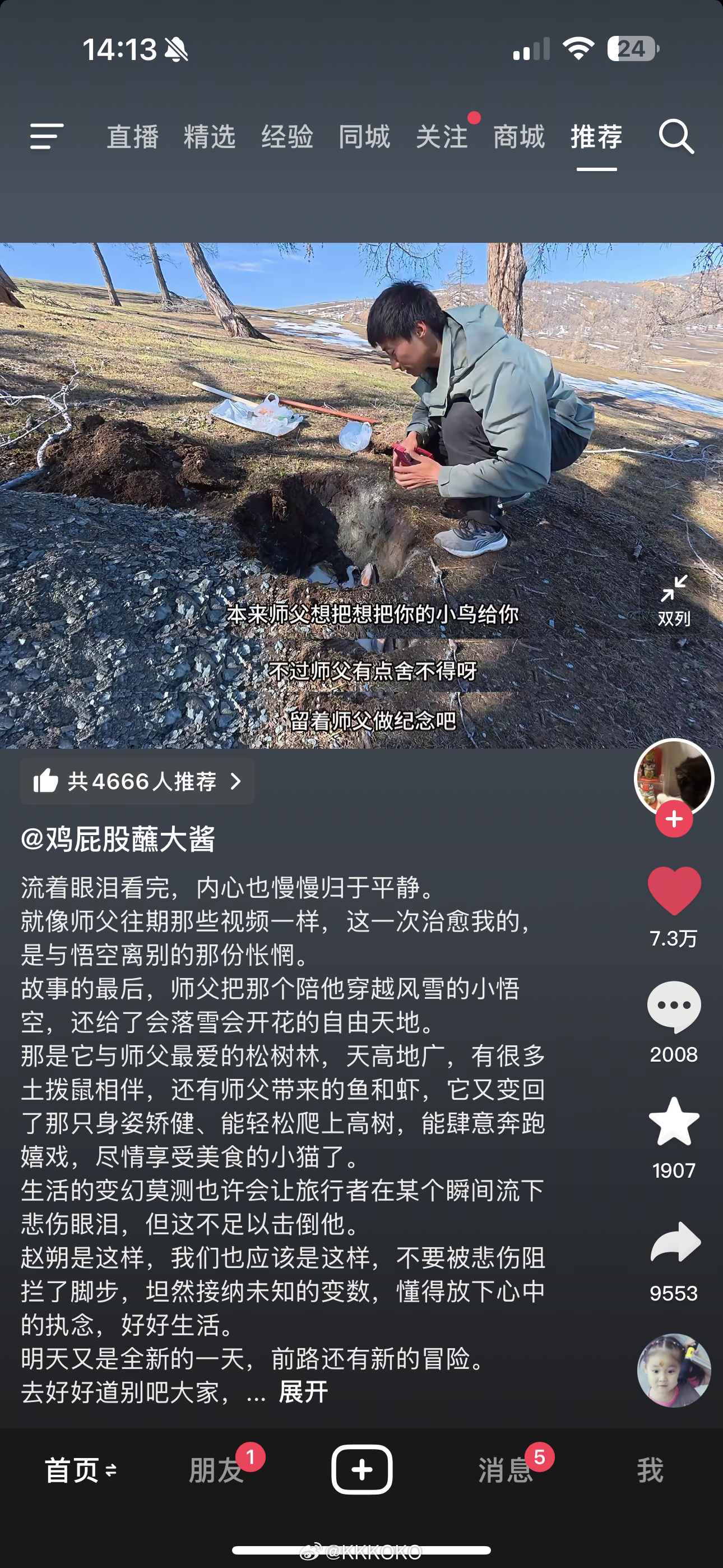 [泪][泪][泪][泪][泪]人怎么能坏成这样连只小猫都容不下呢 ​​​