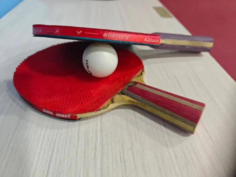 我的偶像
周末午后的阳光，慵懒地洒在小区花园的三角梅架下，乒乓球台旁总是聚着热闹