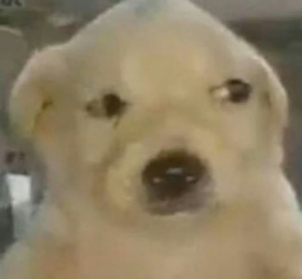 曝LPL明年取消涅槃好好好哥几个吭哧吭哧顶着输一把直接滚蛋的巨压一路爬到现在，刚