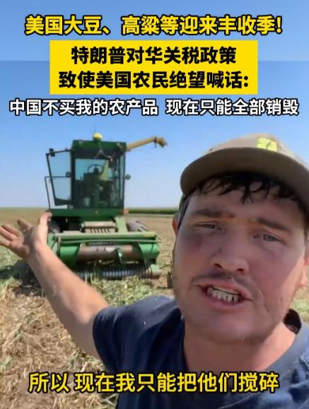 美国大豆协会主席斯坦克利夫这两天接受彭博社采访时说，今年美国大豆大丰收，可港口堆