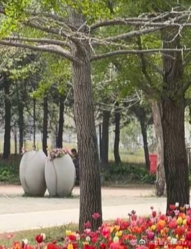 0000善中有乐，一路善行；善中有仁，日日善行；善中有孝，敬老善行；善中有爱，奉