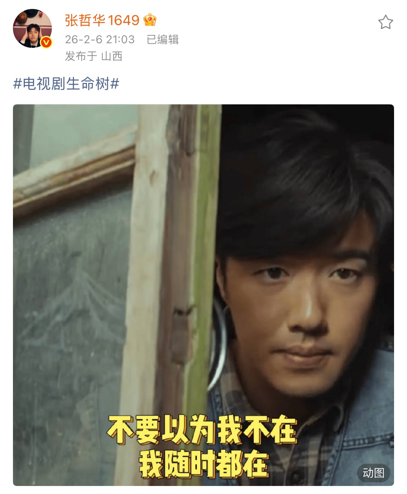 哲华：我会一直视见你生命树