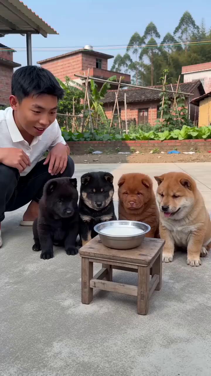 你要是不配合饭就不给你吃了。
