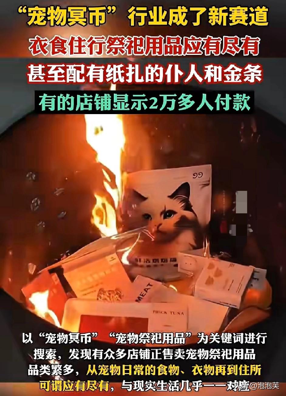 宠物祭祀成新赛道

现在的宠物祭祀也太卷了

宠物冥币、纸扎仆人、金条、豪宅应有