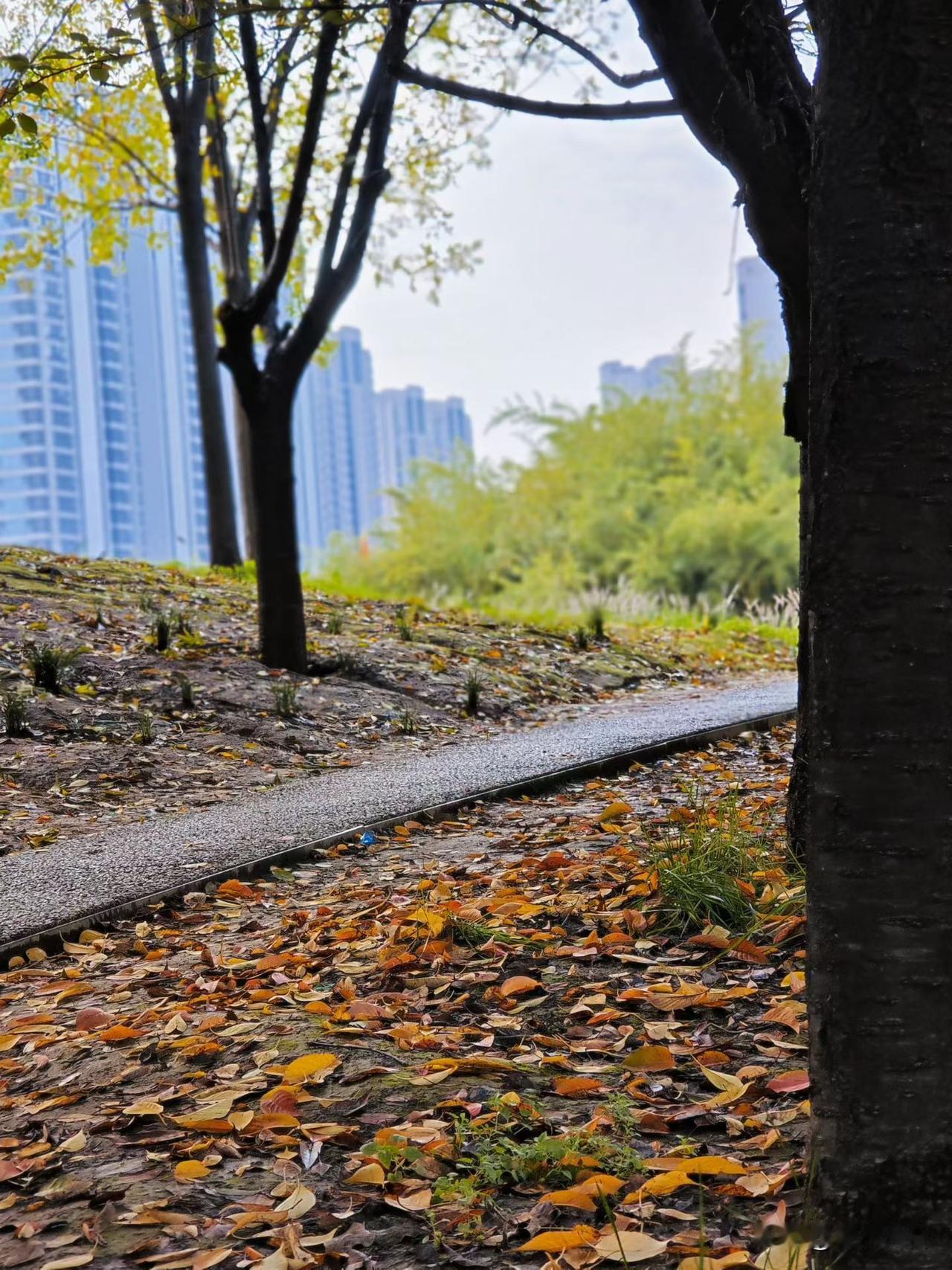 最新消息，德国表态：

1月5日，德国外交部长称，美国必须就近期的军事行动提供法