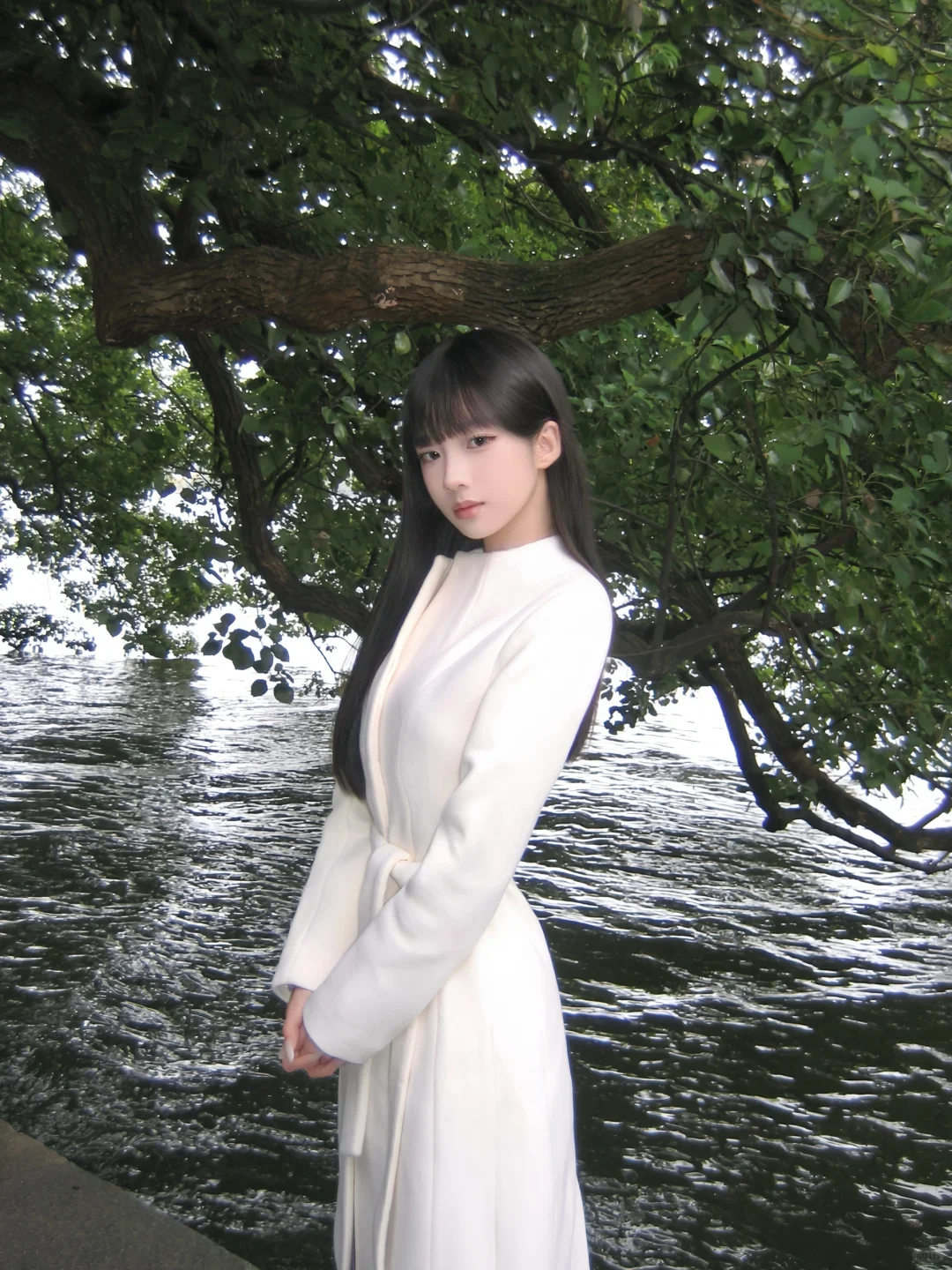 ☁️🕊️