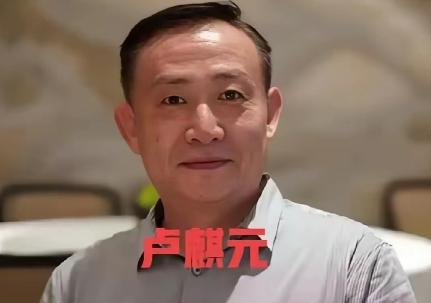 卢麒元在中批评“十五五”规划中隐含的华盛顿共识。他认为，某些人试图把水、电、通信