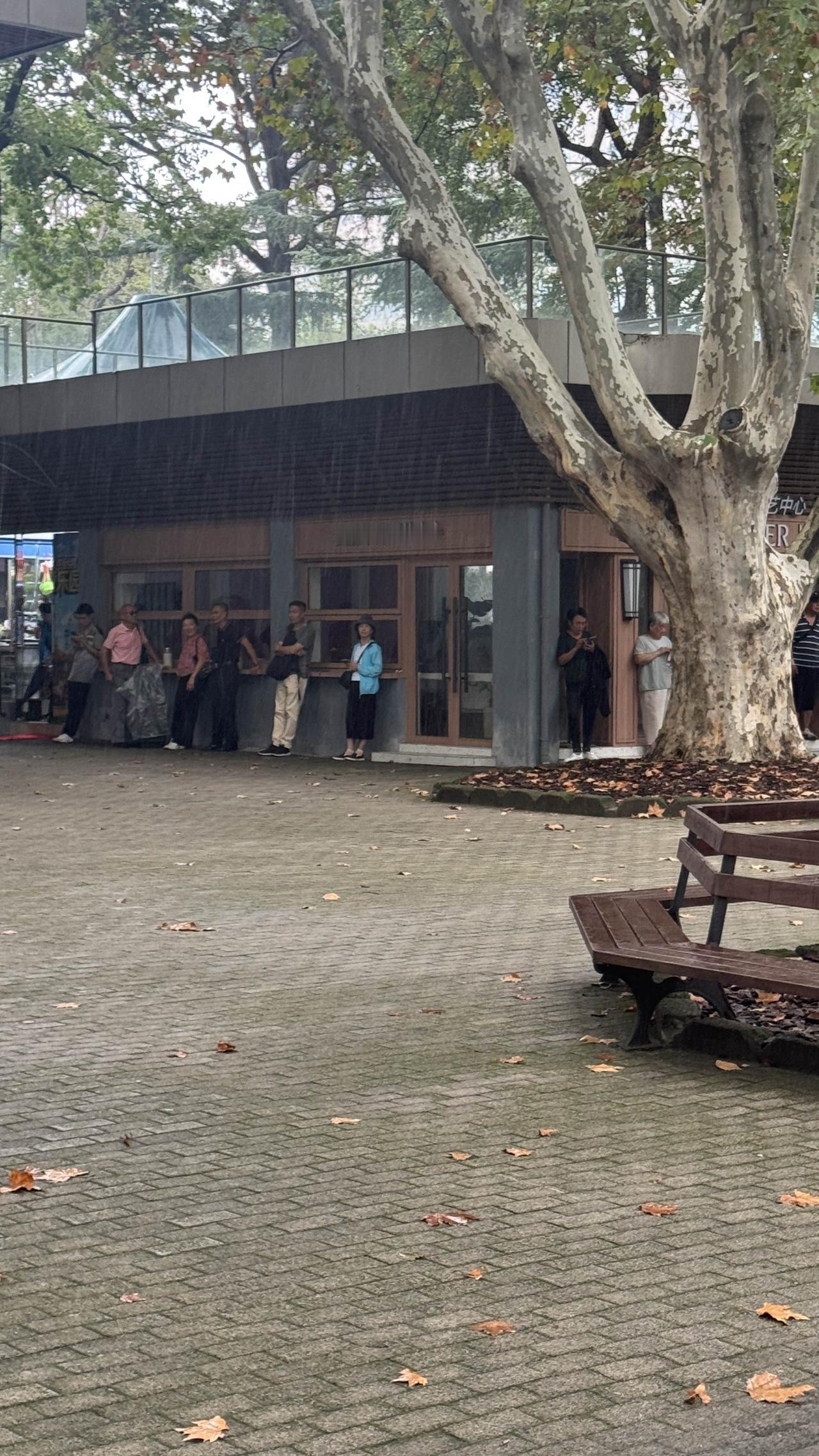 随缘不是放手，是换个姿势拥抱生活

凌晨三点，外卖员老陈把电瓶车停在桥边——不是