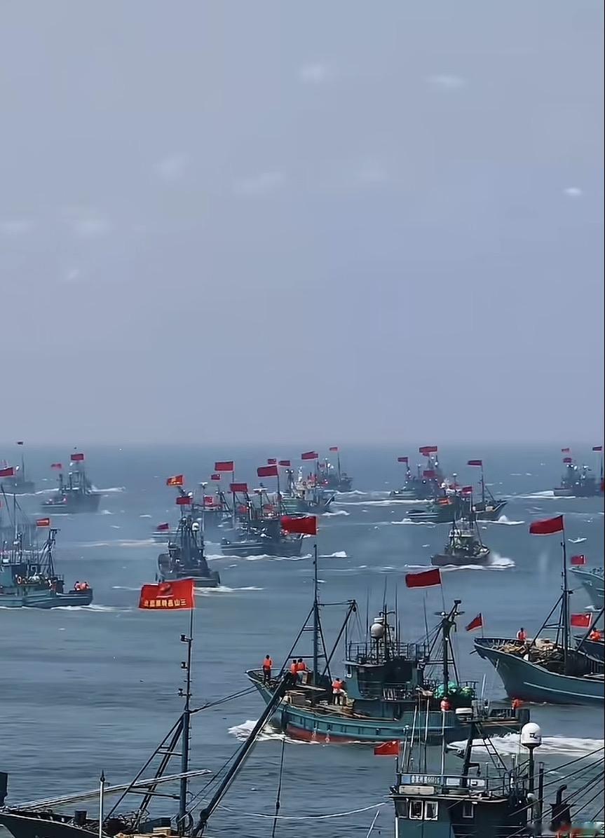渔船齐聚海面，红帆迎风飘扬，渔民忙碌捕捞