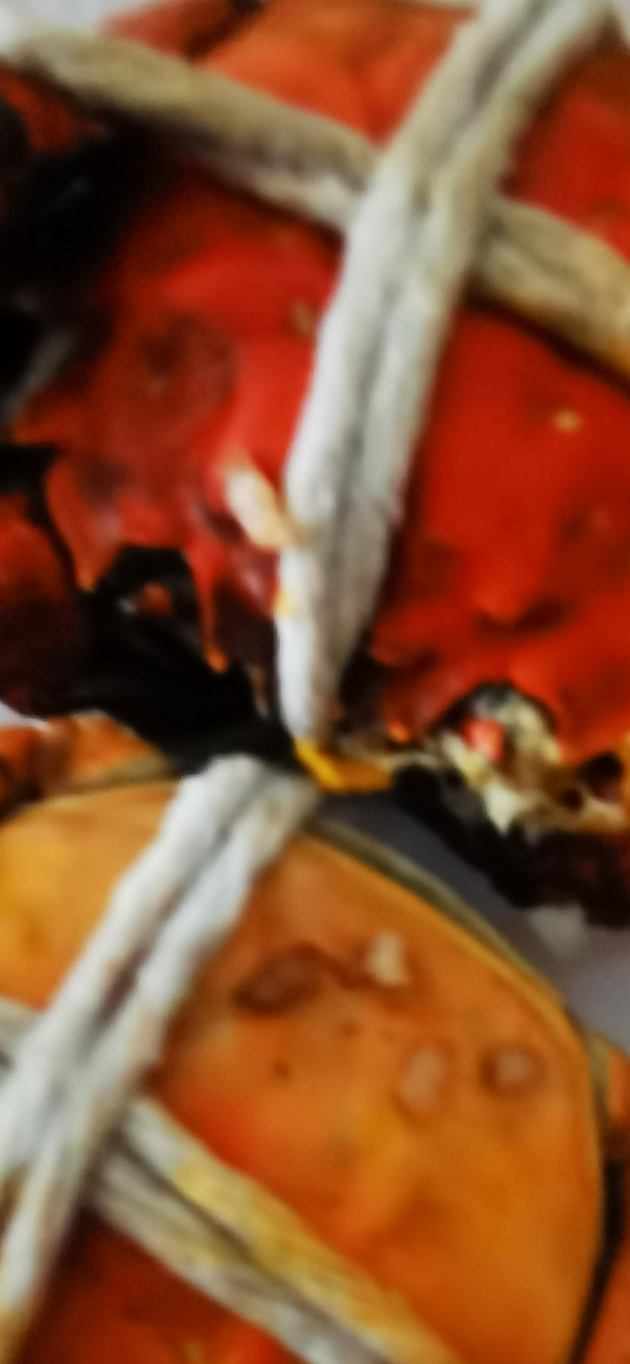 都是傲慢惹的祸

你被五花大绑，押赴刑场。

我怜你，给你松了绑。你张牙舞爪地钳