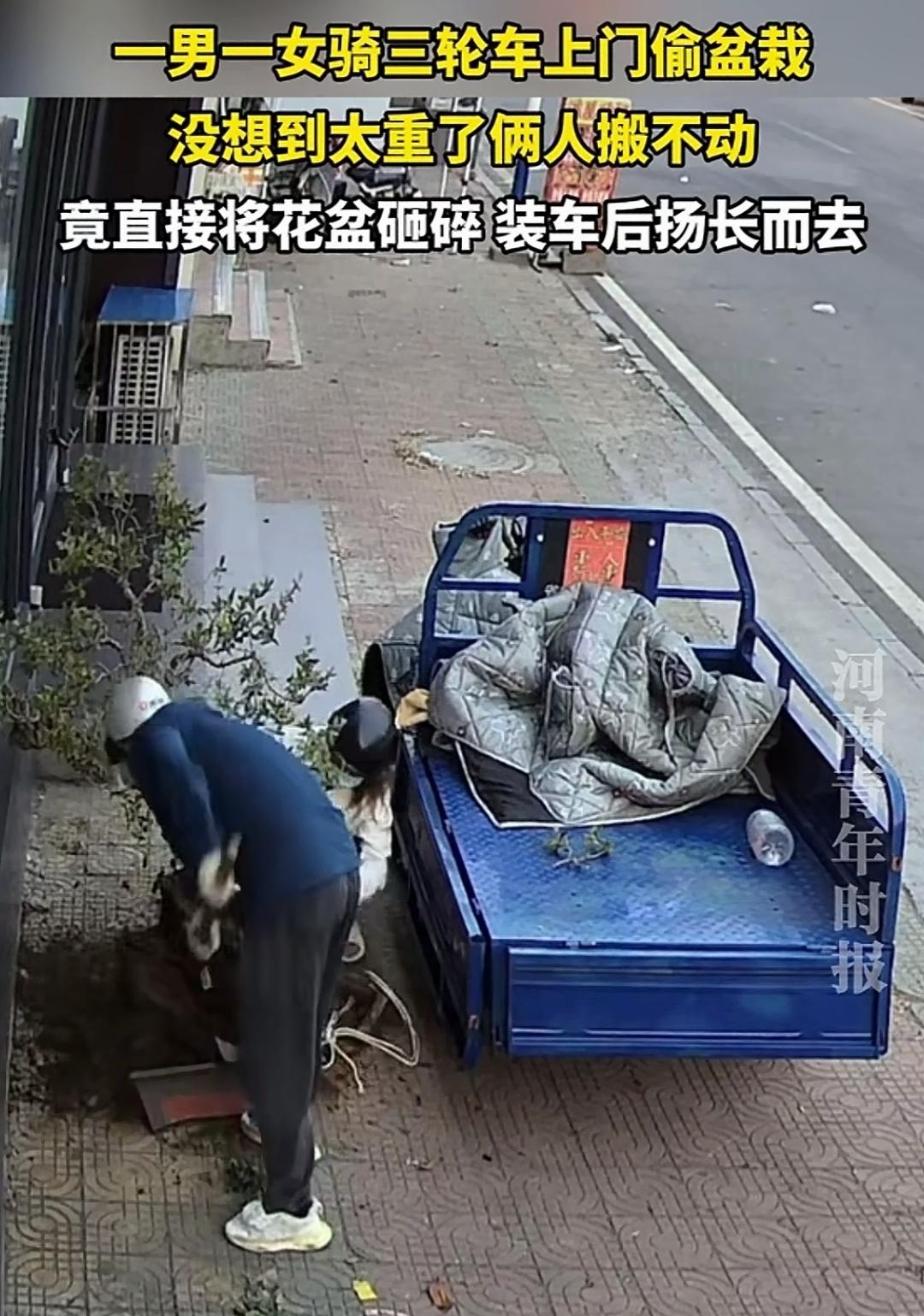 这对男女太离谱了！想“顺”盆栽，搬不动竟直接砸碎带走
这男女怎么这样呢，连人家放