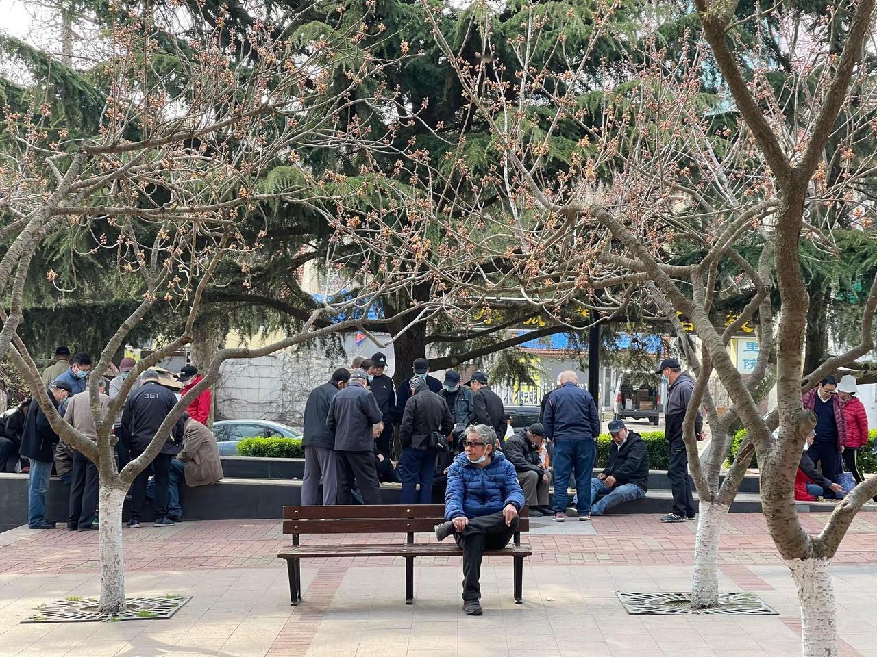 于海青：为何说老舍公园记录着青岛的发展？ 青岛有很多公园，每个公园也都有着不一样