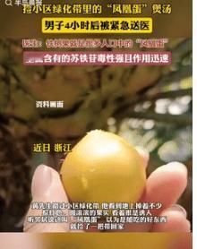 胆子不是一般的大！9月17日浙江，一男子路过小区绿化带时，发现地上有很多果实，听