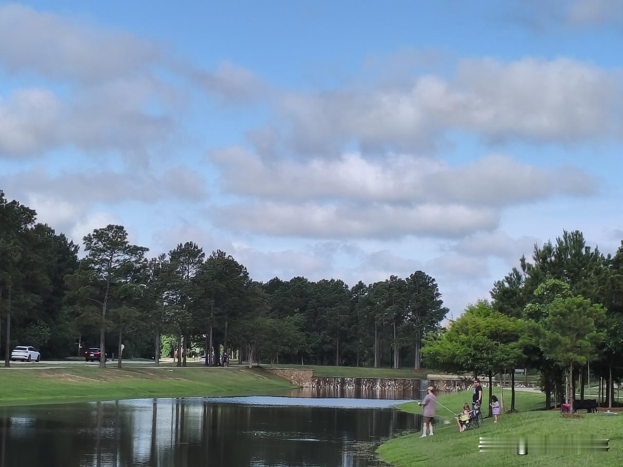 随手拍下初夏美景