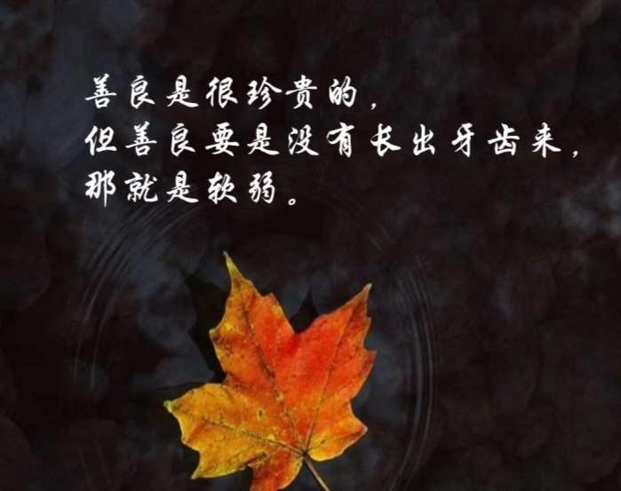 孩子和同学闹矛盾，该忍让还是敢较真？多数家长都选错了
 
孩子上学后，免不了和小
