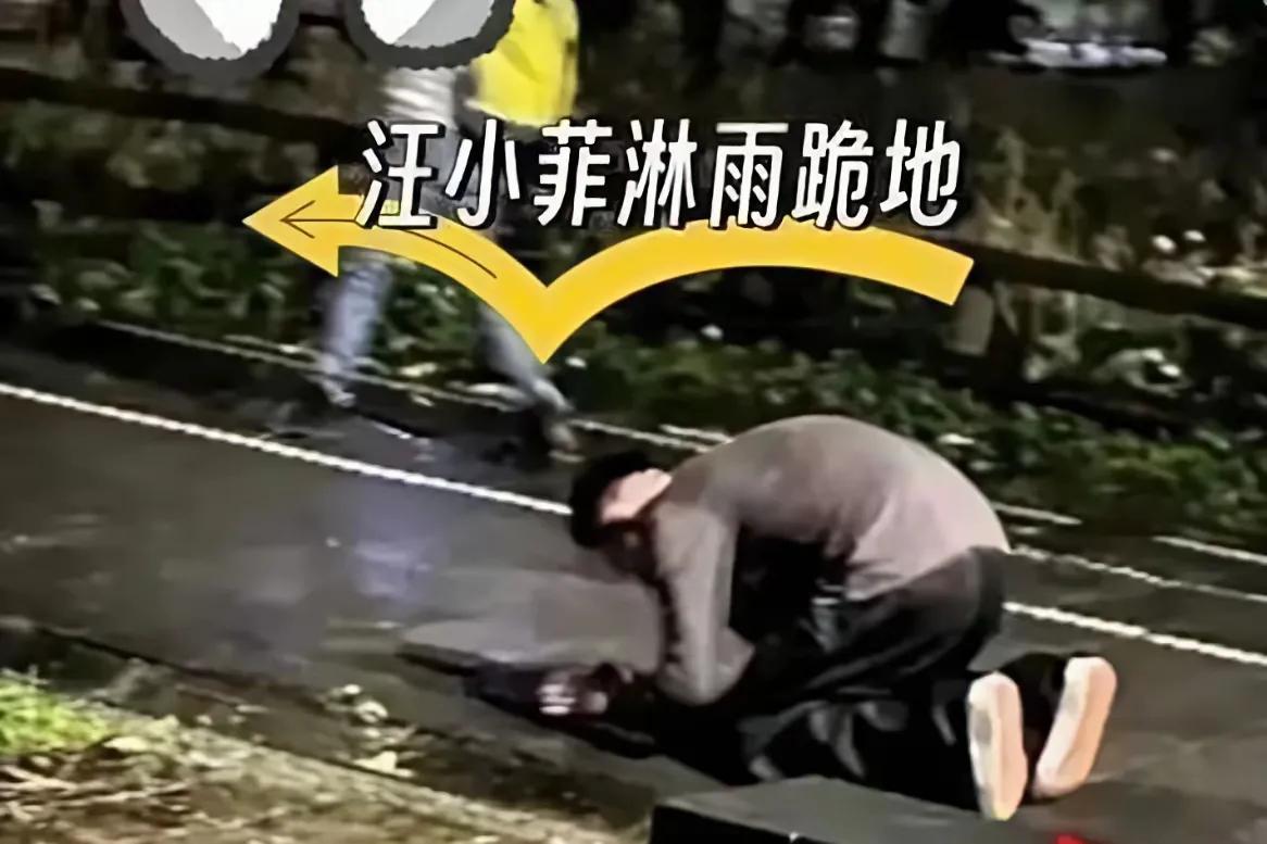 同样是跪拜亡妻，为了汪小菲被诟病为演戏，而具俊晔被夸赞为深情。原因有三个:

韩