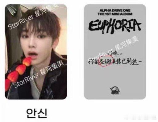 kpop丈育再添新人周安信 