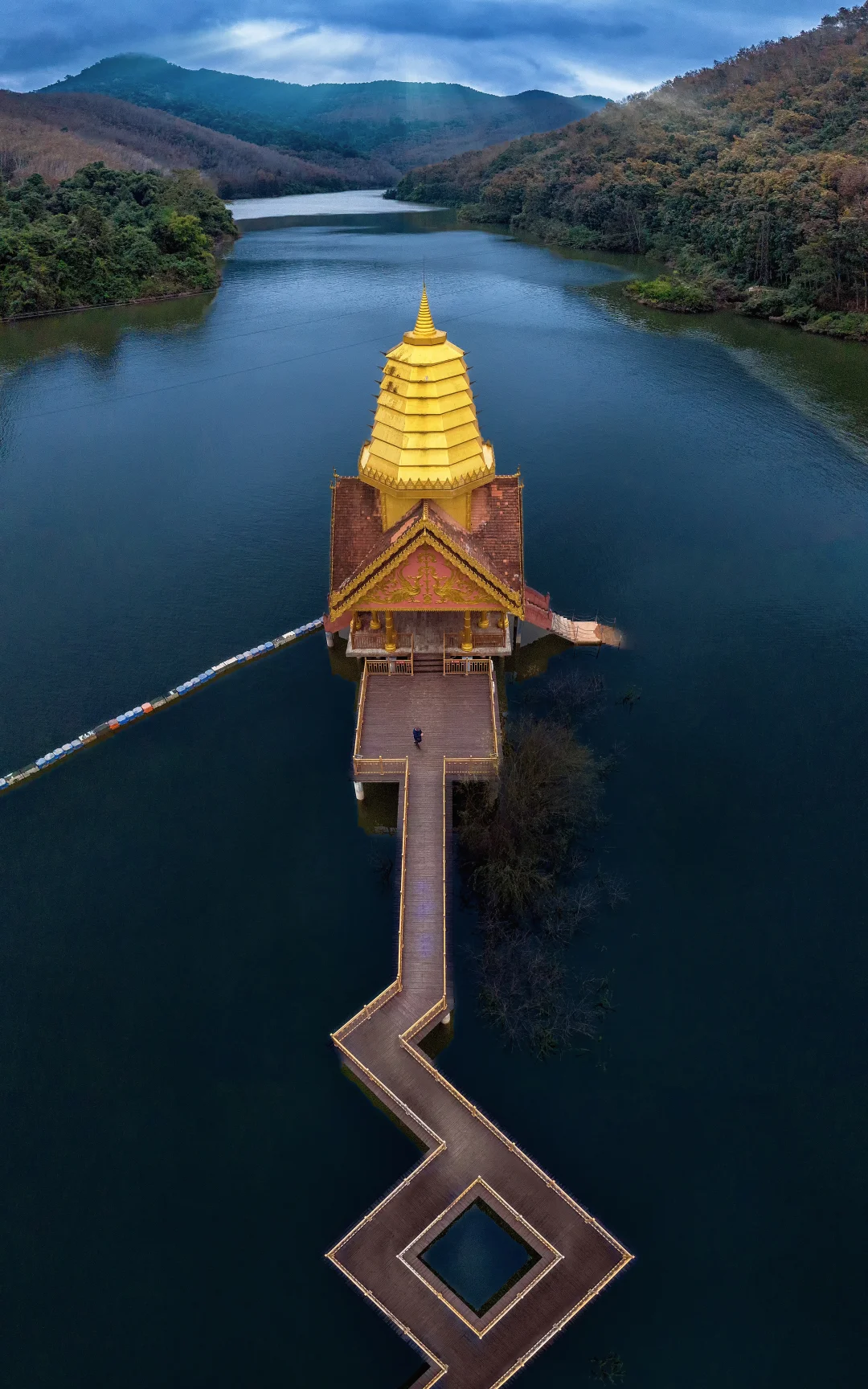 西双版纳望天树｜一次真正的热带雨林之旅