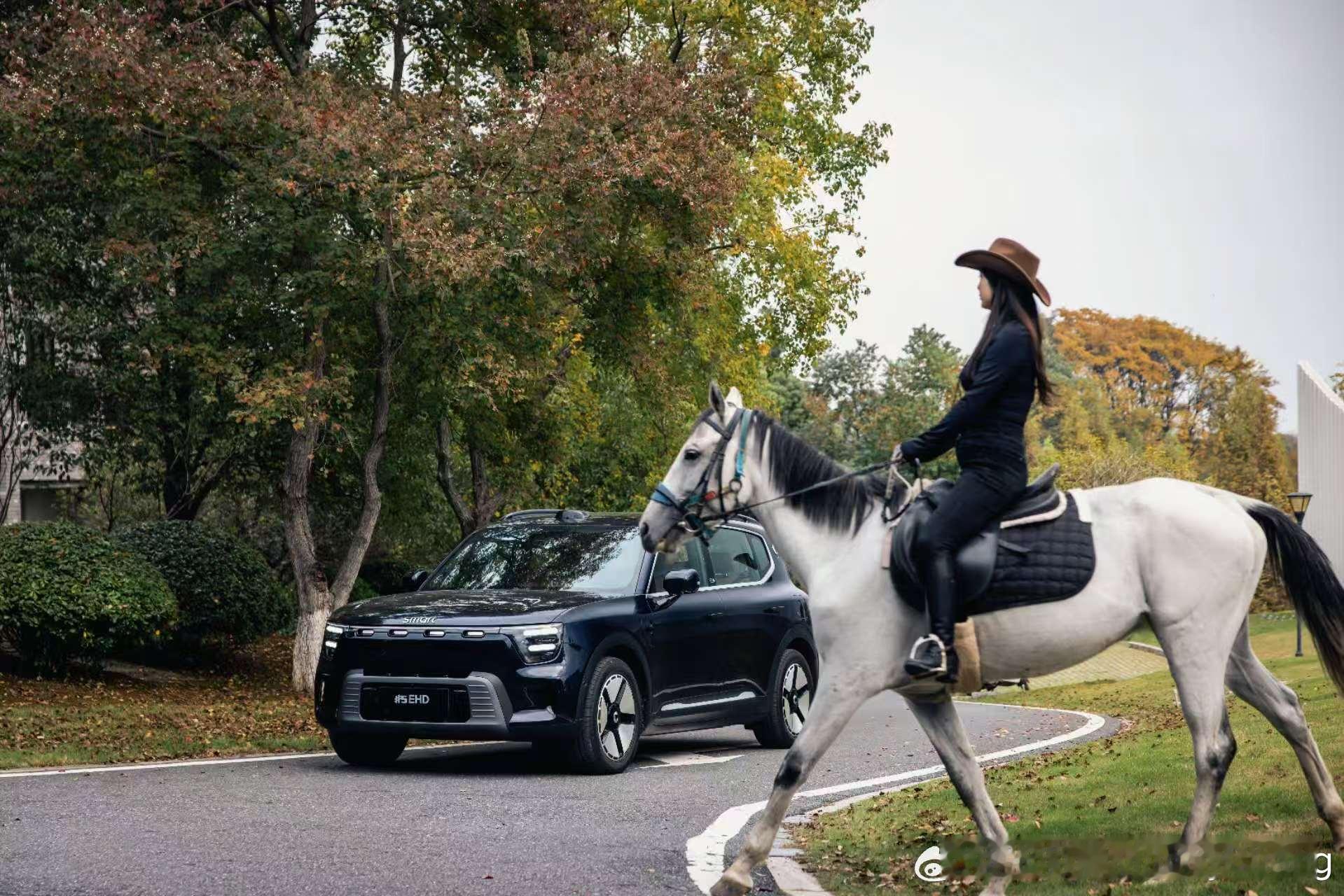 smart精灵5号 EHD南下试驾的路上，总有不期而遇的风景。无需刻意摆拍，镜头