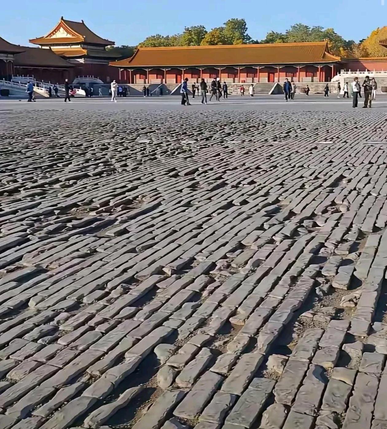 开什么车可以进这里？