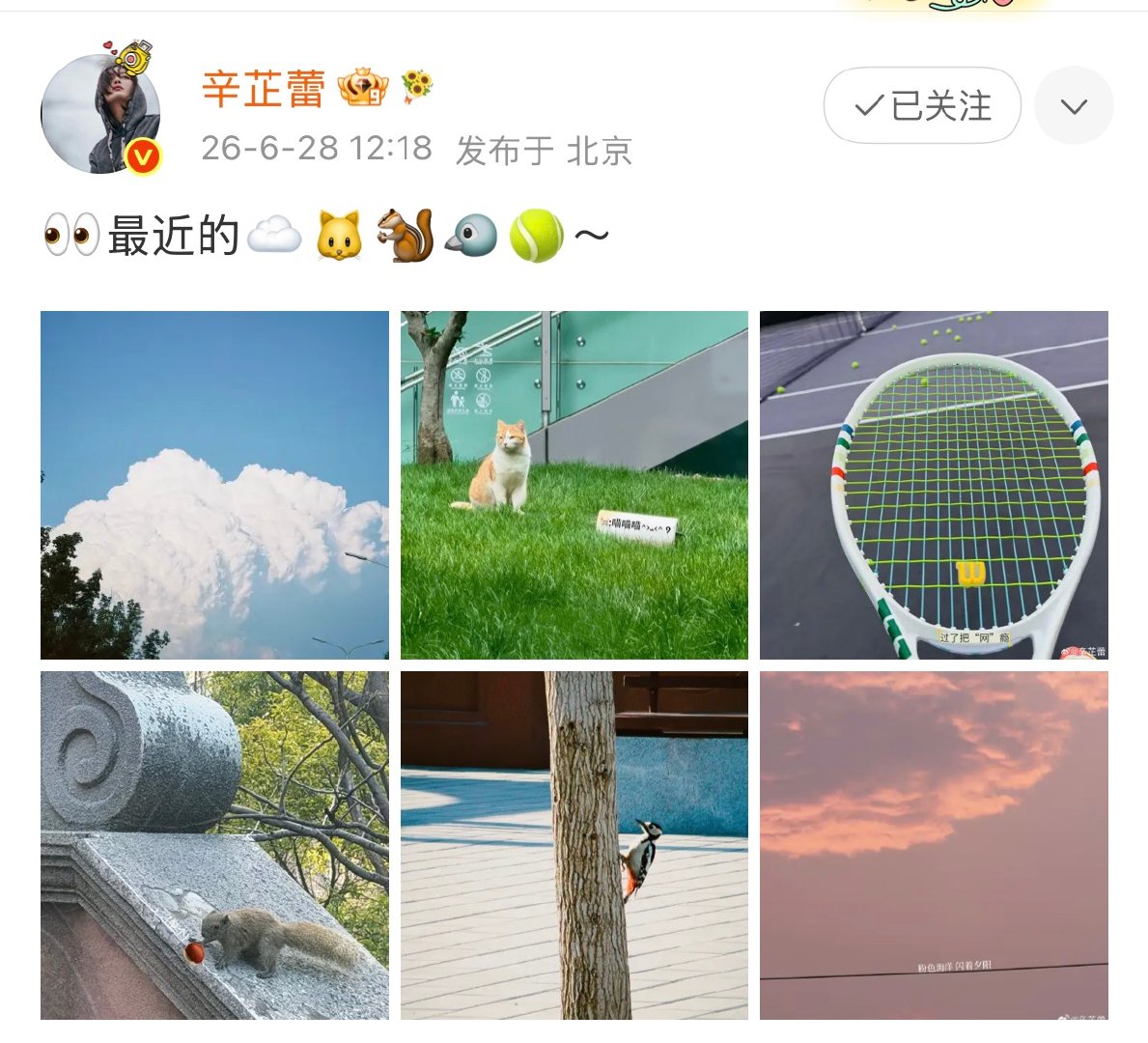 辛芷蕾打网球 辛芷蕾更新动态分享运动日常，直言这次狠狠过了把 “网” 瘾！球场挥