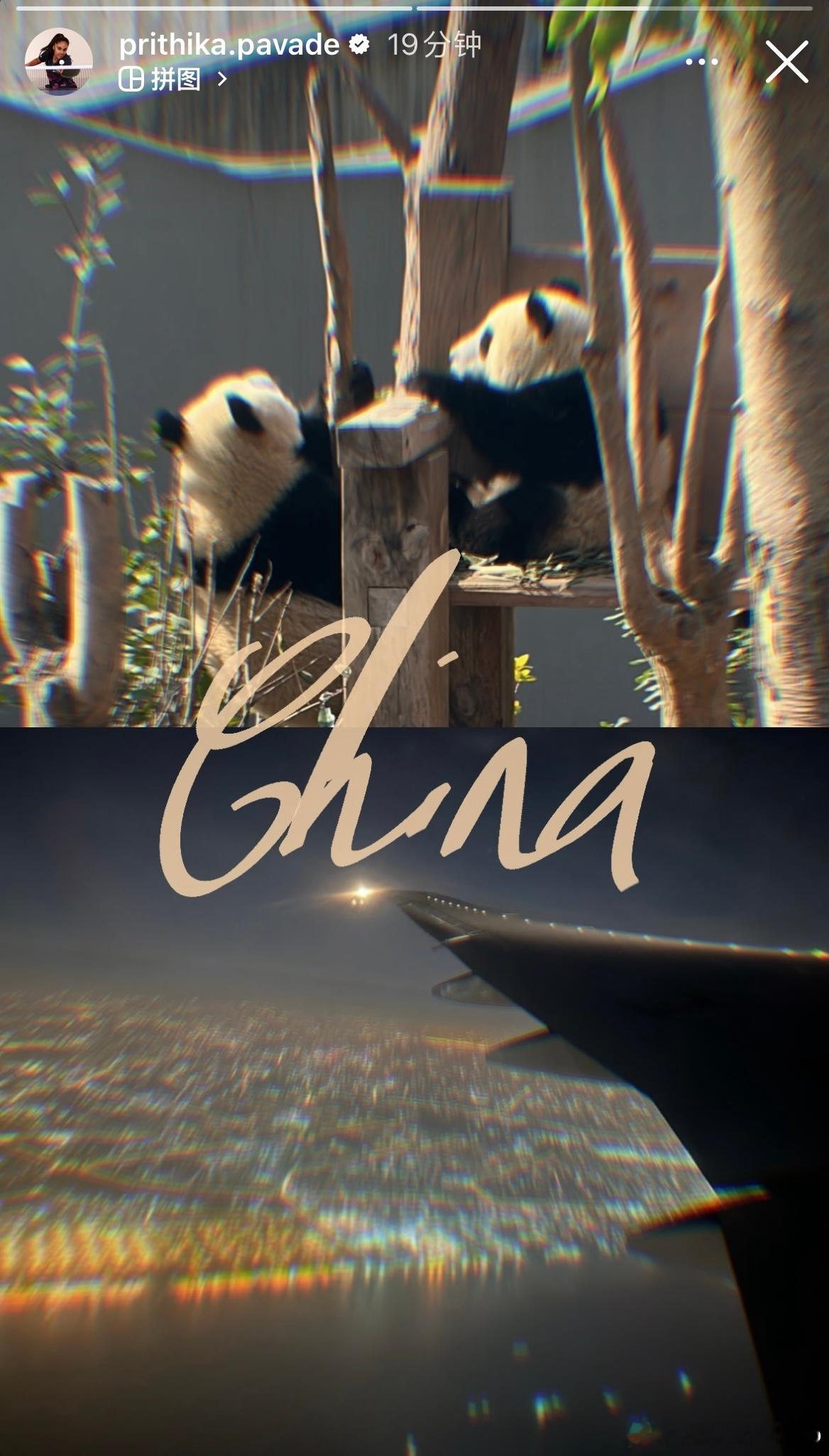 帕瓦德在成都也有去看熊猫🐼 