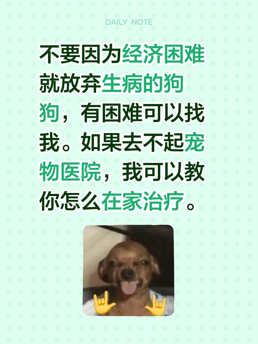 不要因为经济困难就放弃生病的狗狗，有困难可以找我。如果去不起宠物医院...