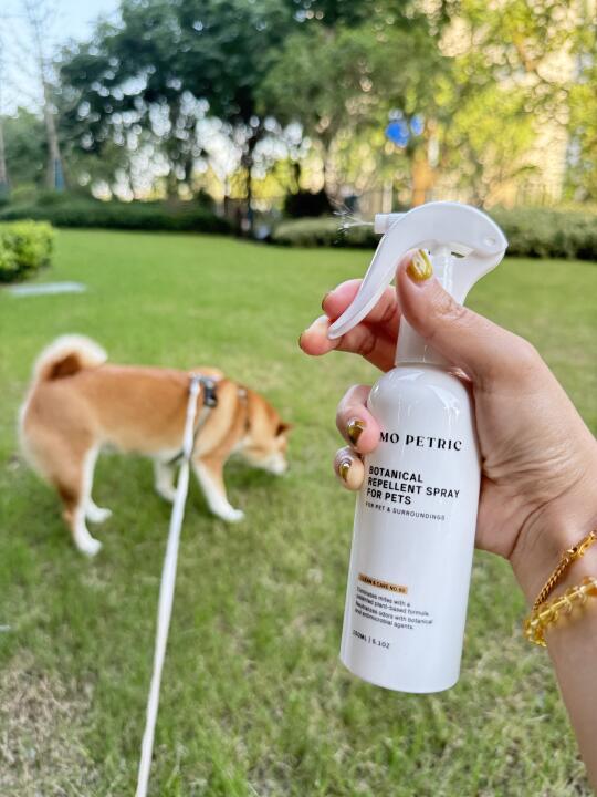 首次尝试小狗户外驱虫喷雾，效果出乎意料！