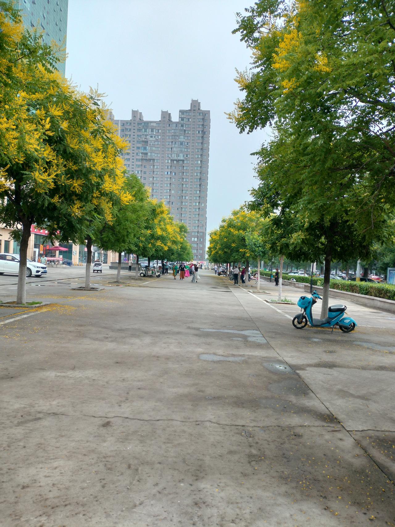想写作没有素材怎么办那我就会出去走走，或者到楼下的小花园找人聊天。