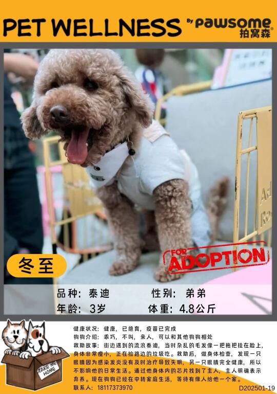 ❤领养成全爱❤