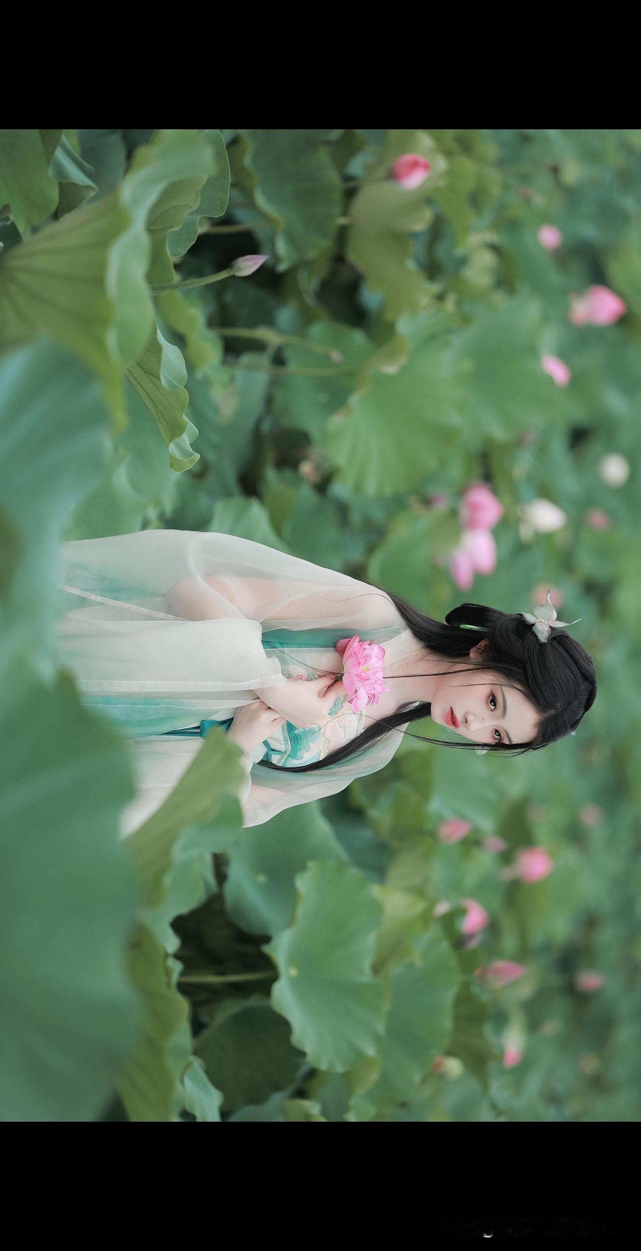 东方佳人｜东方美人