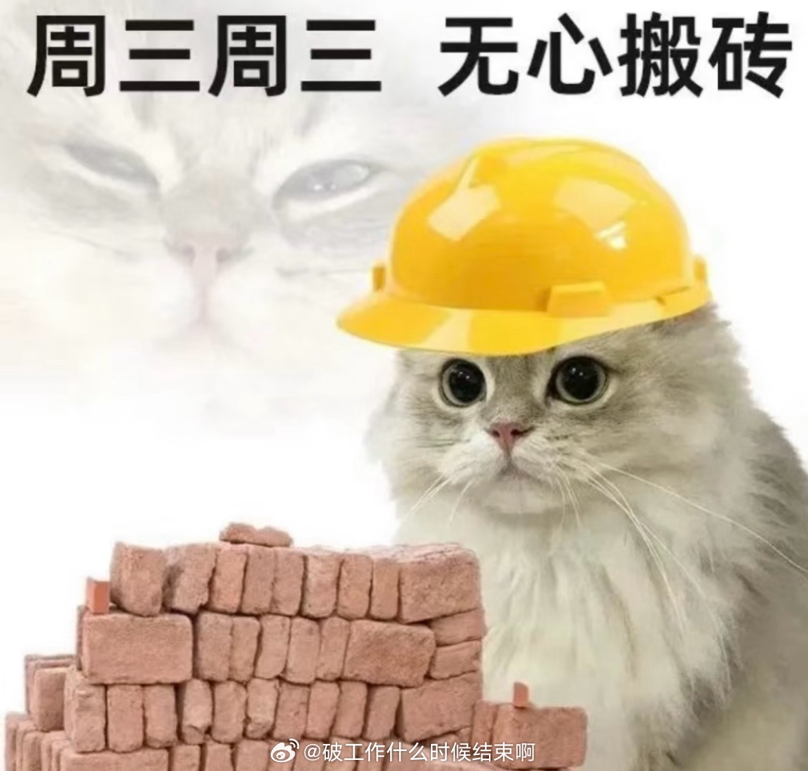 上班的内容是集体观看阅兵所以为什么不给我们通知观看，，， ​​​